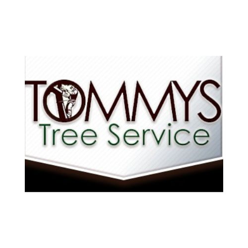 Tommy's Tree Service